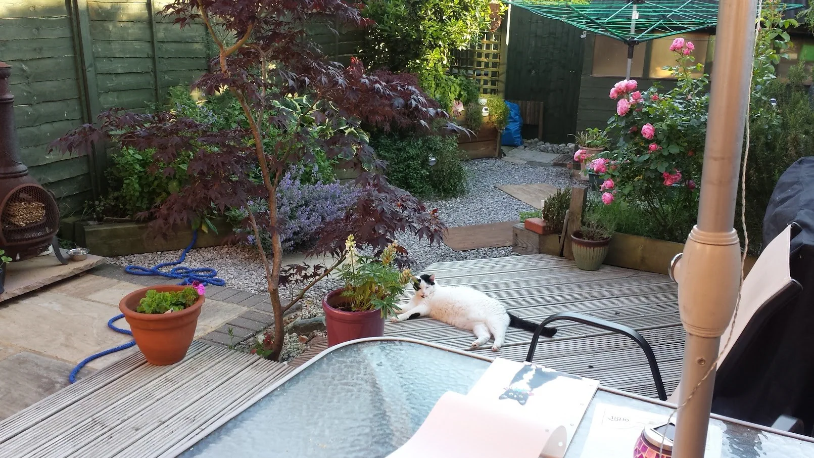 F17 marshall loving summer hurley croft 17 jun